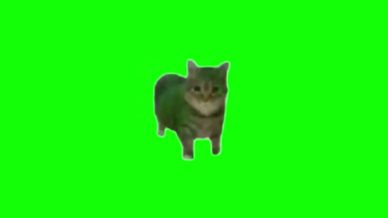 Green Screen Spinning Cat Meme | OIIAIOIIIAI Meme