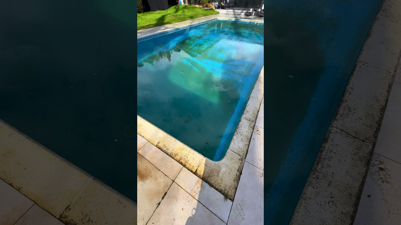 Green to clean!! 😎 #asmr #swimmingpool #satisfying