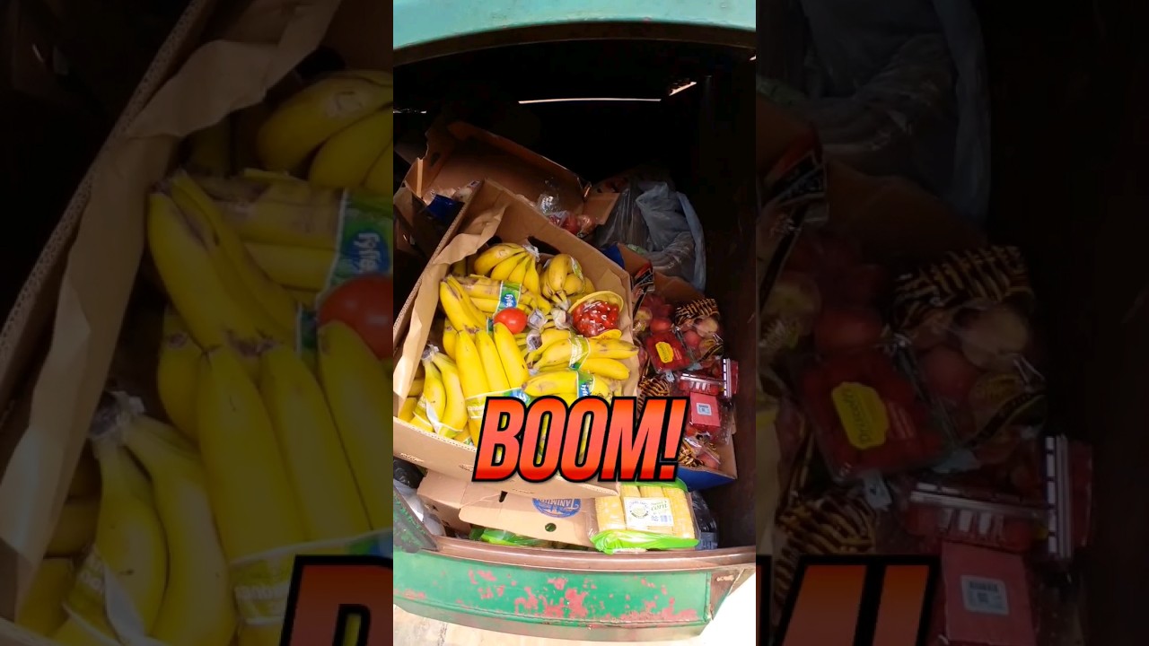 Grocery shopping in the Dumpster! #dumpsterdiving #free #viral #shorts