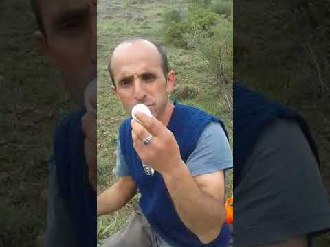 Görüyorsunuz acı yok