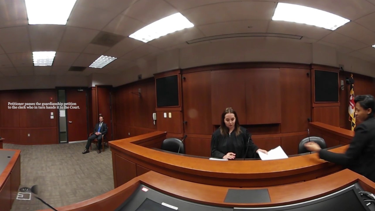 Guardianship Hearing