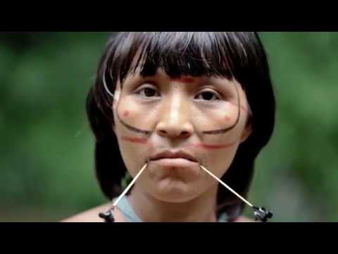 Guerreiros da Floresta | Estreia dia 20 de fevereiro às 22H30