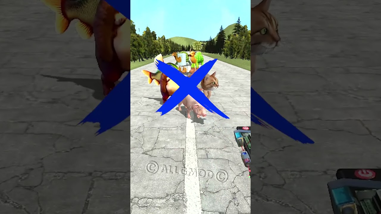 GUESS ITALIAN MEMES VS REAL ANIMALS FRULLI FRULA SIGMA BOY ORANGUTINI ANANASINI BRAINROT in Gmod !