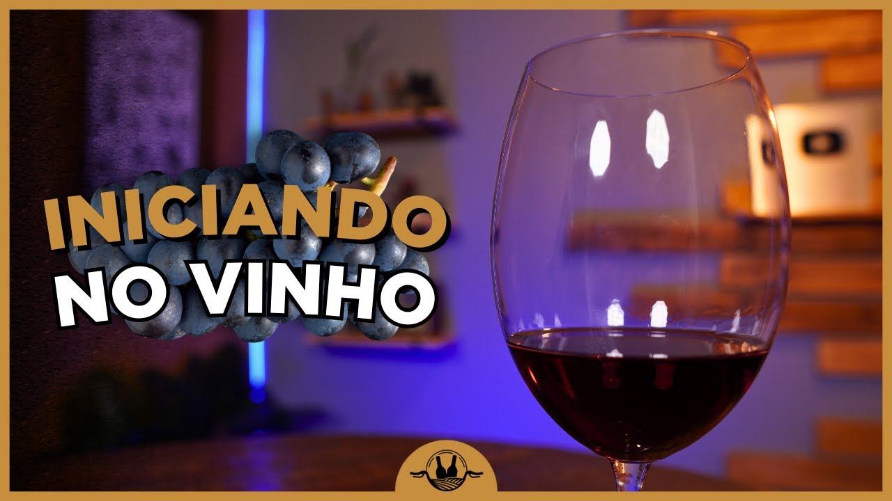 GUIA DEFINITIVO PARA INICIANTES DO VINHO