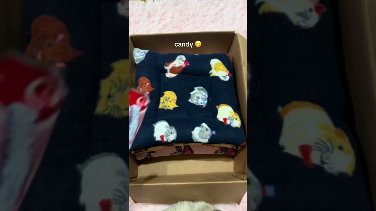 Guinea pig beds at pigletpatrol.com #guineapig #guineapigs #smallbusiness #cavy #cavies