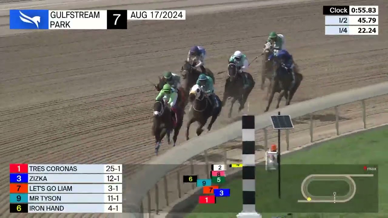 Gulfstream Park Carrera 7 - 17 de Agosto 2024