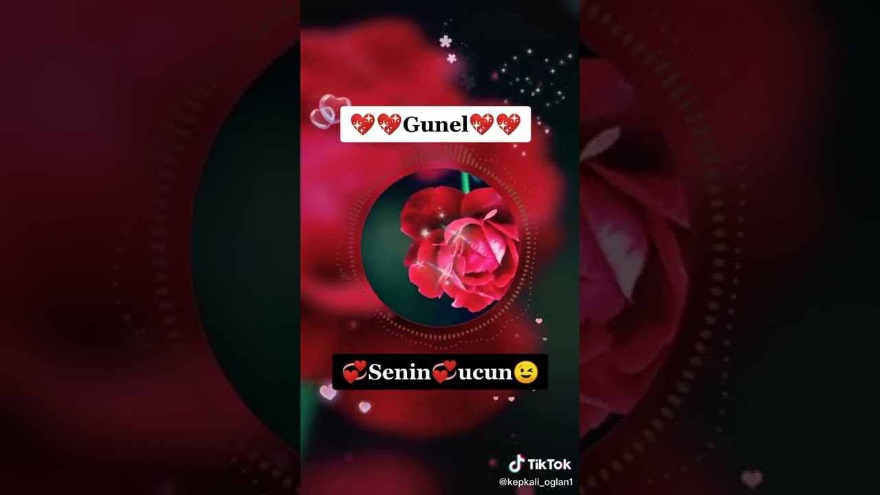 Gunel Adi Yazili Video ... #gunel #günel #Günel #Gunel #ask #videolari #videosu #sevgistatuslari #wp