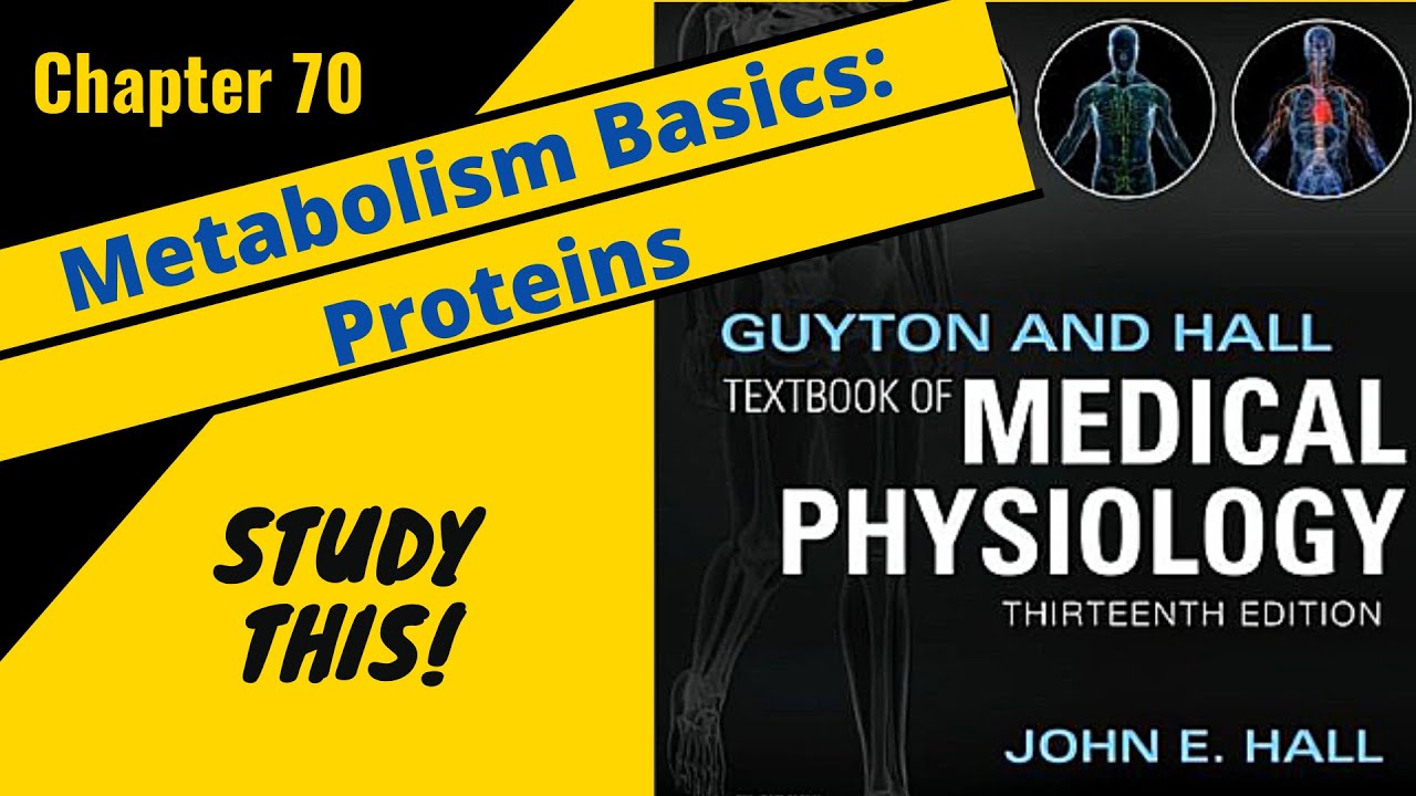 Guyton and Hall Medical Physiology (Chapter 70) REVIEW Protein Metabolism Basics || Study This!