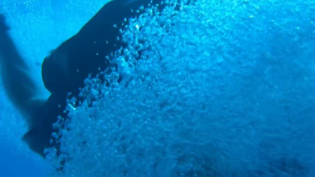 H2O Mako Mermaids - All Mermaid Transformation  Season 1