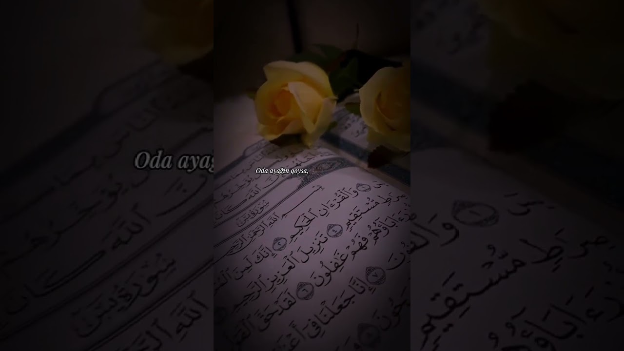 Hacı Şahin Həsənli//Dini statuslar #azansəsi #hacisahin #dinistatuslar #dinivideolar