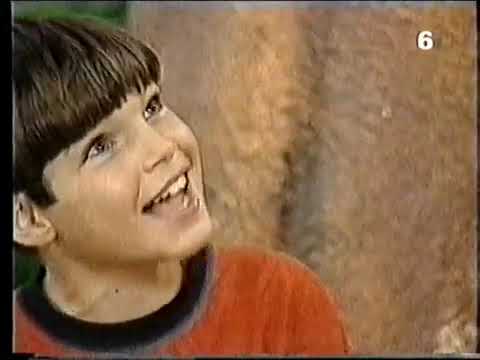 Hachaverim Shel Barney: Four Seasons of Fun! (Hebrew)