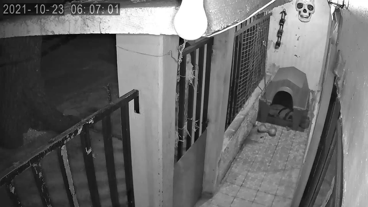 hada captada con cámara de seguridad