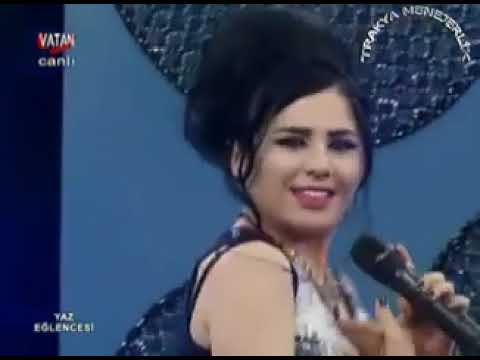 Hadise avcı sarı taksi