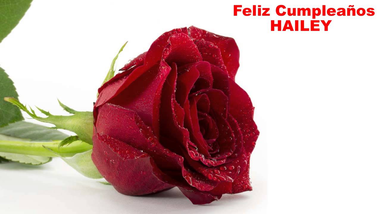 Hailey - flowers - Happy Birthday