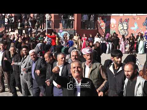 Hakkari Merkez Bılecani Aşireti Ertunç Ailesi Nevzat Ve Zübeyde Çiftimizin Dügünü