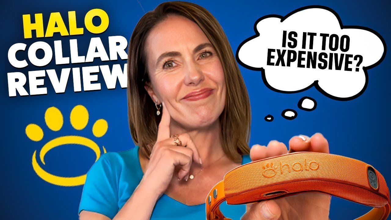 Halo Collar Review 2025 – Is the Halo 4 Actually Worth It?