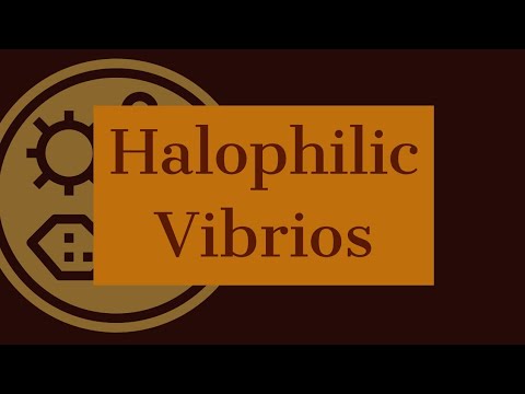 Halophilic Vibrios | Microbiology