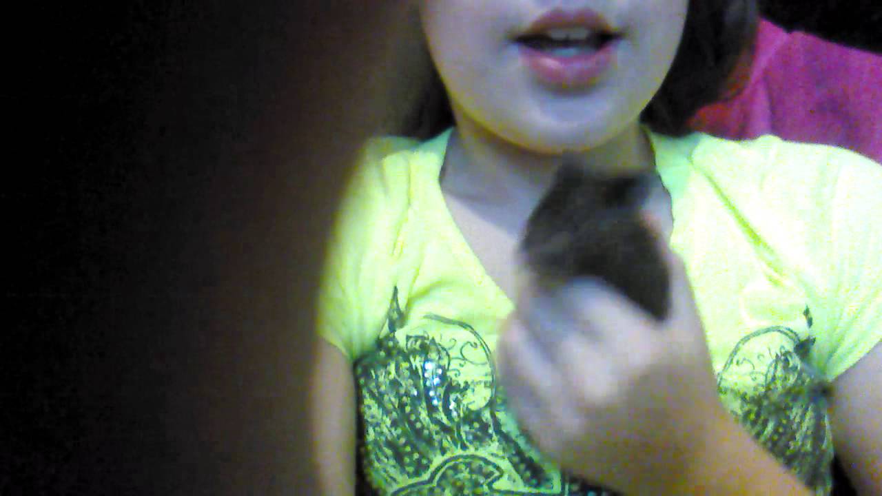 Hamster challenge