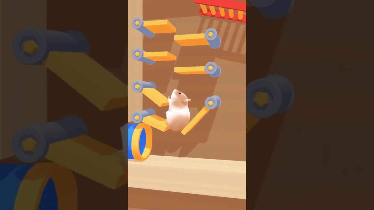 Hamster Maze Game
