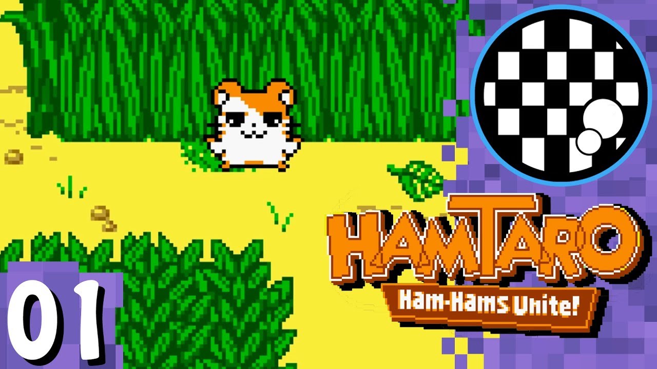 Hamtaro: Ham Hams Unite! | PART 1