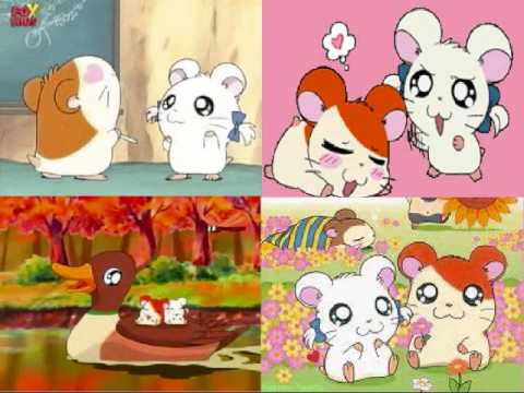 Hamtaro is right here for Bijou