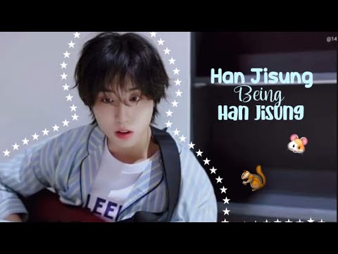 Han jisung being Han jisung (A chaotic quokka)
