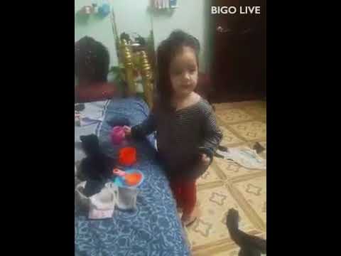 hani#bigolivevideo