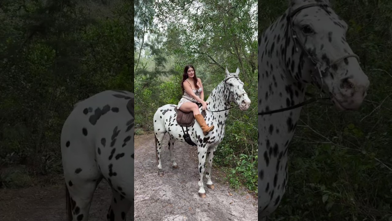 Happiest 😊❤️. #shorts #short #jessyrenn #horse #riding #forest #shortvideo #shortsvideo