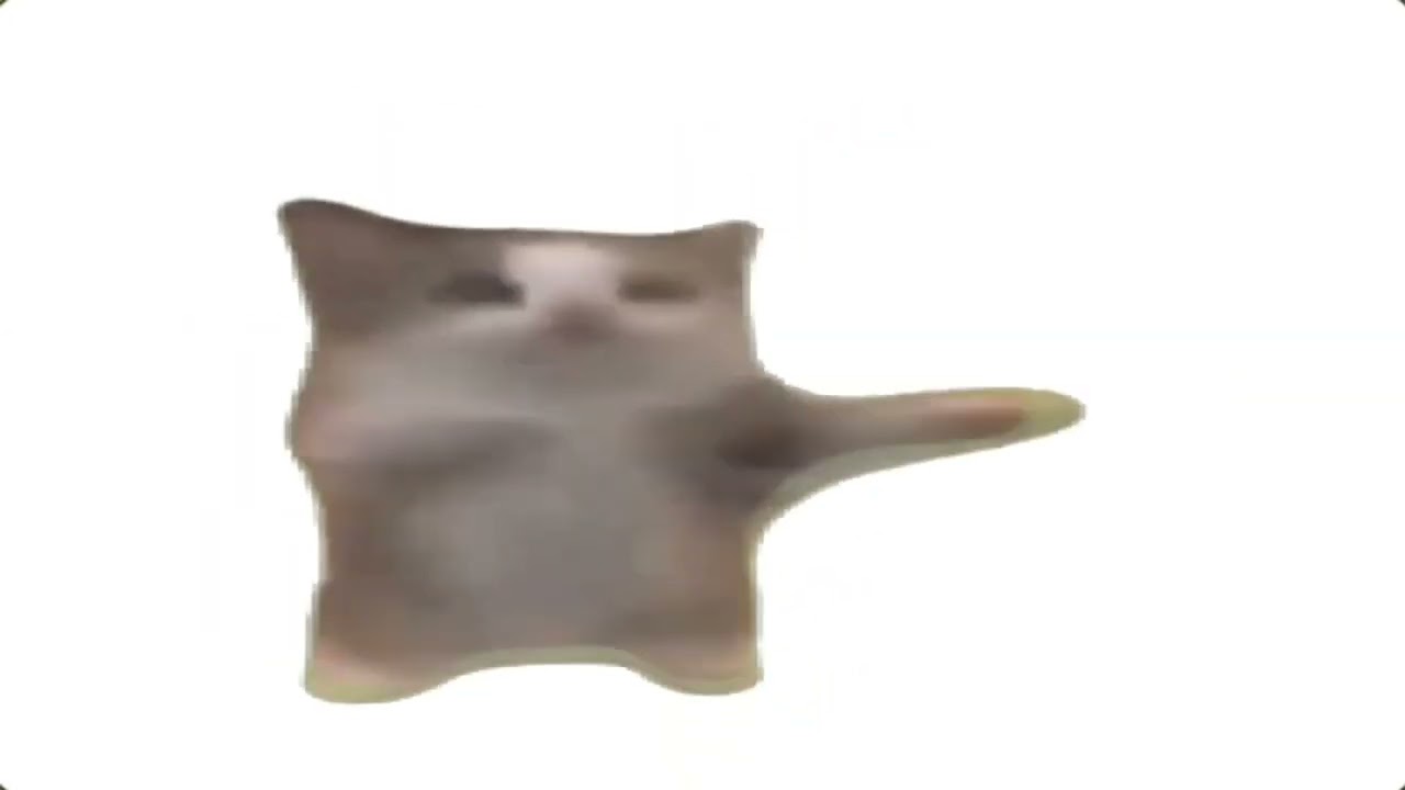 Happy Happy Happy Cat 10 Hours