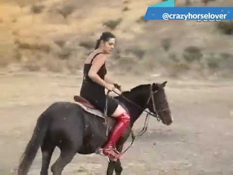 Hard pony