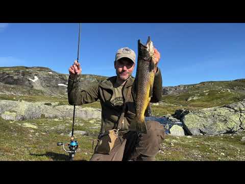 Hardangervidda - fiske i kulp og elv i regn og sol