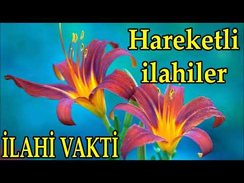 💛Hareketli İlahiler Dinle💛İlahi Vakti💛Coşkulu Coşturan İlahiler Dinle💛Güzel İlahiler💛