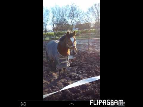 Haribo et Tango ♡ ♥ ♡ ♥