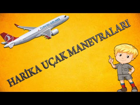 Harika uçak manevraları