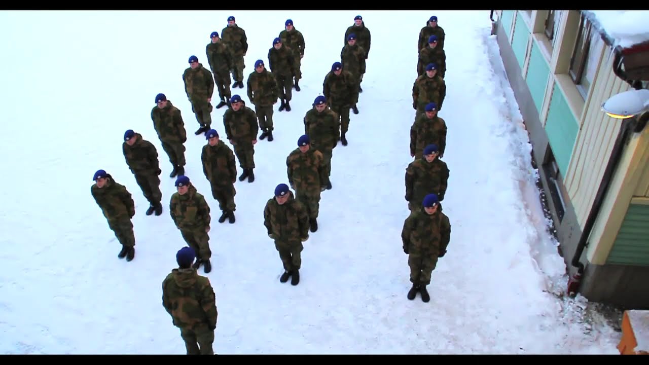 Harlem Shake (Original Army Edition)