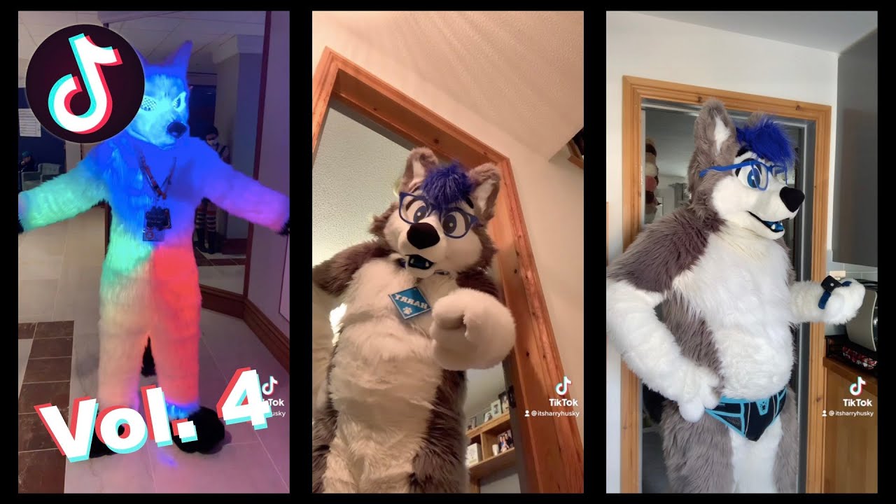 Harry Does TikTok - Vol. 4
