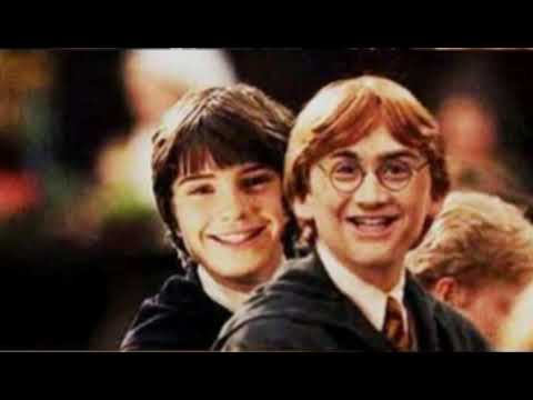 Harry Potter Flauta bugada