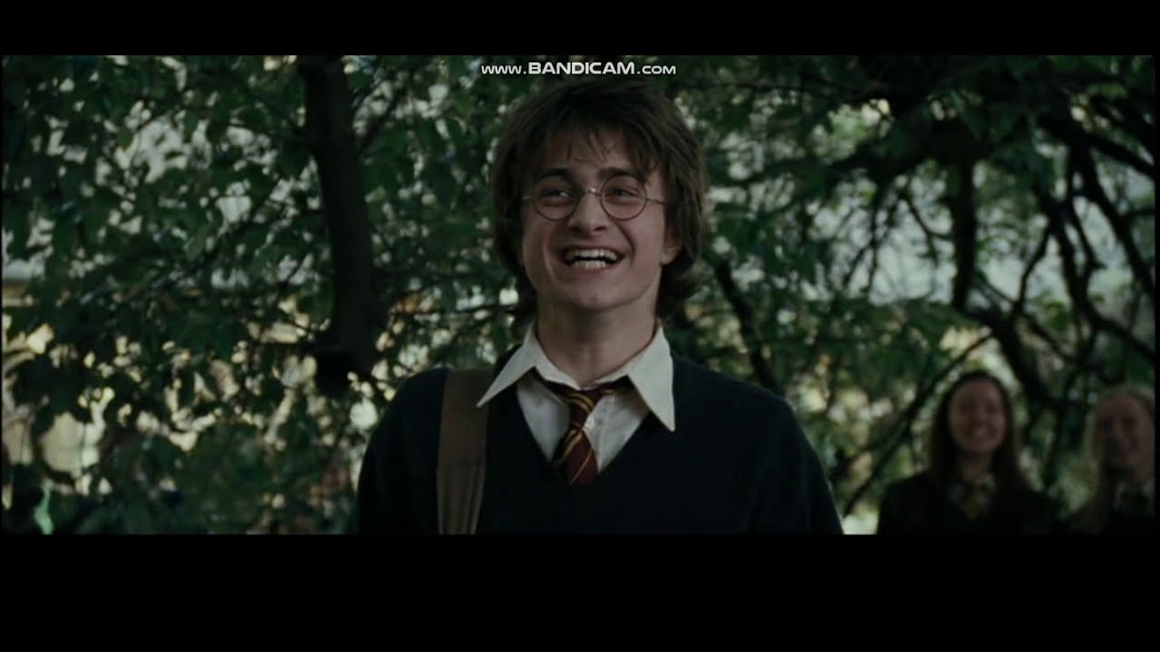Harry Potter ve Ateş Kadehi-Sahtekar Potter
