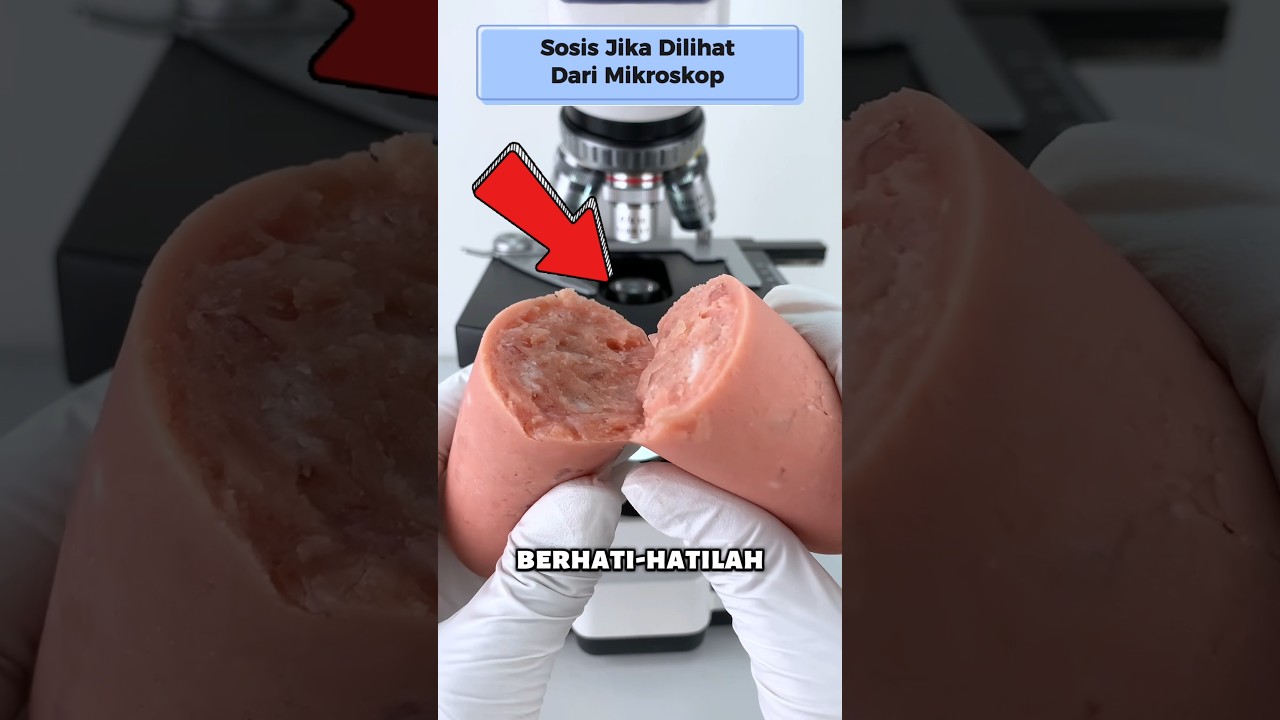 Harus tahu‼️Apa yang ada didalam Sosis 😱😱 #mikroskop #eksperimensains #sosis