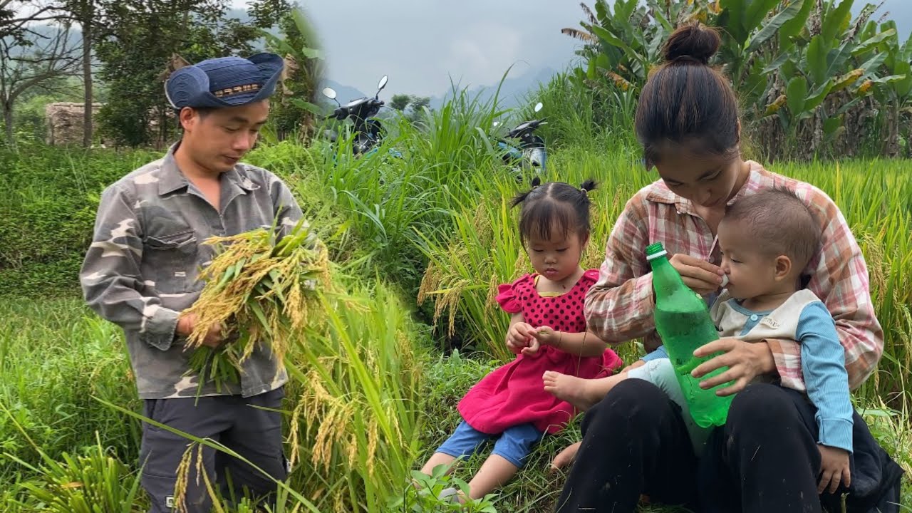 Harvest rice,cook,do laundry and take care of children with her husband