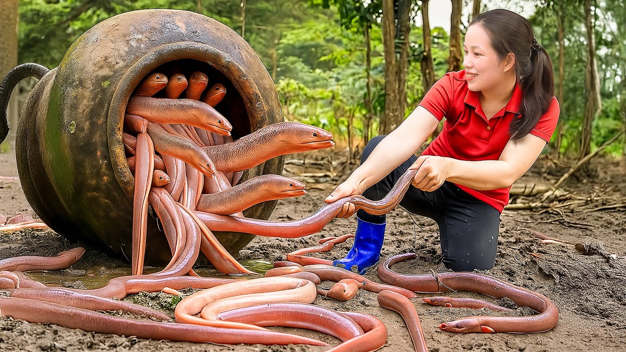 Harvesting hybrid eels & bringing them to market for sale | Phuong free bushcraft