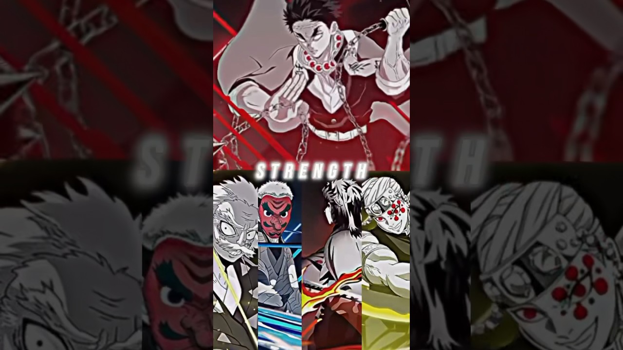 Hashira Debates  pt.1 (ENDING THE DEBATES) -Clips : Lynx Shadow. #anime #demonslayer #animeedit