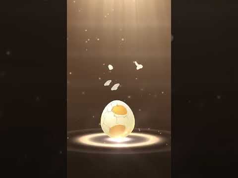 Hatching 5 Km egg ( (Azurill) - Pokémon Go) - Pokémon Go