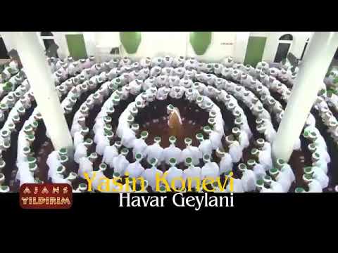 havar geylani