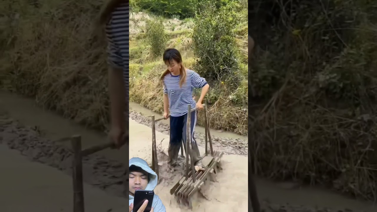 Have you ever seen rice paddies being trampled in the countryside? #shorts #woodworking  #farming