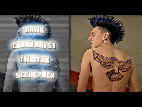 Hawk (cobra kai s1) twixtor scenepack