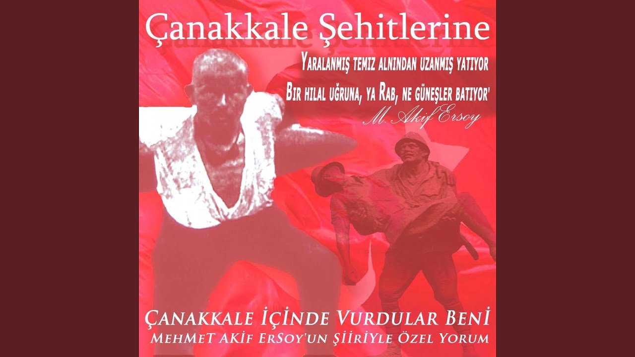 Hayde Takın Doyme