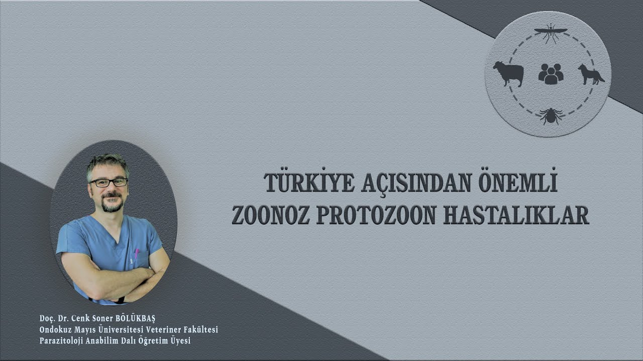 Hayvanlardan İnsanlara Bulaşabilen Önemli Paraziter Hastalıklar