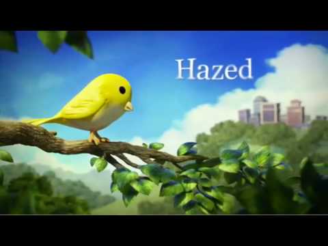 Hazed
