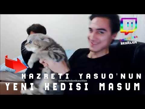 HAZRETİ YASUO'NUN YENİ KEDİSİ ''MASUM'' !